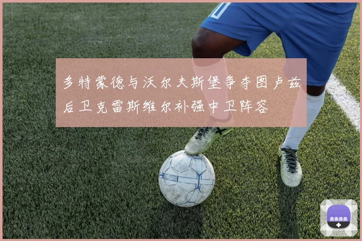 多特蒙德与沃尔夫斯堡争夺图卢兹后卫克雷斯维尔补强中卫阵容